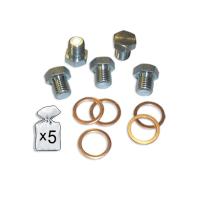 JBM 51403 - SET DE REPUESTOS REPARACIÓN CÁRTER M13X1.5P