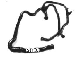 STC T408322 - MGTO RAD AX-106 DIESEL INF