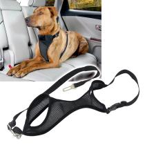 Pool Line 614 - ARNES SEGURIDAD PERROS TALLA L ( 6 )