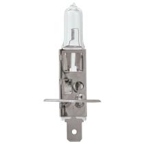 Pool Line 461004 - LAMPARA H1 24V 70W P14.5S