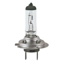 Pool Line 461019 - LAMPARA H7 24V 70W PX26D