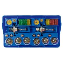 Pool Line 465007 - BLISTER 100 UNID. FUSIBLE LITTLE FUSE 10 AMP