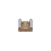Pool Line 465027 - BLISTER 10 UNID. FUSIBLE MICRO 5 AMP