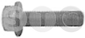 STC T402254 - TORNILLO POLEA CIGUENAL RENAULT 1.9DCI