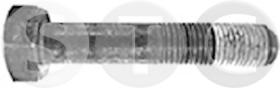 STC T402263 - TORNILLO POLEA CIG C2/C3 1.4/1.6 HDI