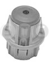 STC T442108 - MOLDURAS DE PROTECCION MEGANEIIII