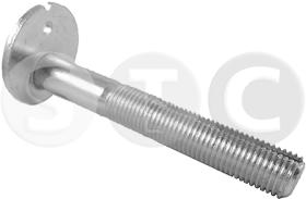 STC T439290 - TORNILLO BRAZO SUSPENSION NISSAN QASHQAI TRAS