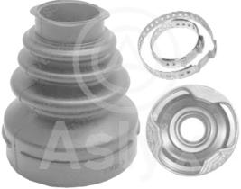 ASLYX AS200477 - KIT FUELLE L/CBO PSA 207-1007-C2-C3-C4-C 5