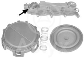 ASLYX AS535524 - JGO REPARACION VALVULA VAPORES FORD-PSA 1.6D-B