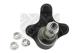 MAPCO 51748 - FRONT LEFT LOWER BALLJOINT